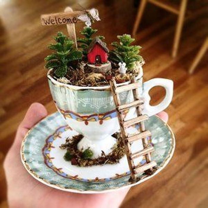 房子再小也能有一座庭院～　Q版「茶杯花園」擺上迷你道具太療癒：是小人國在住？