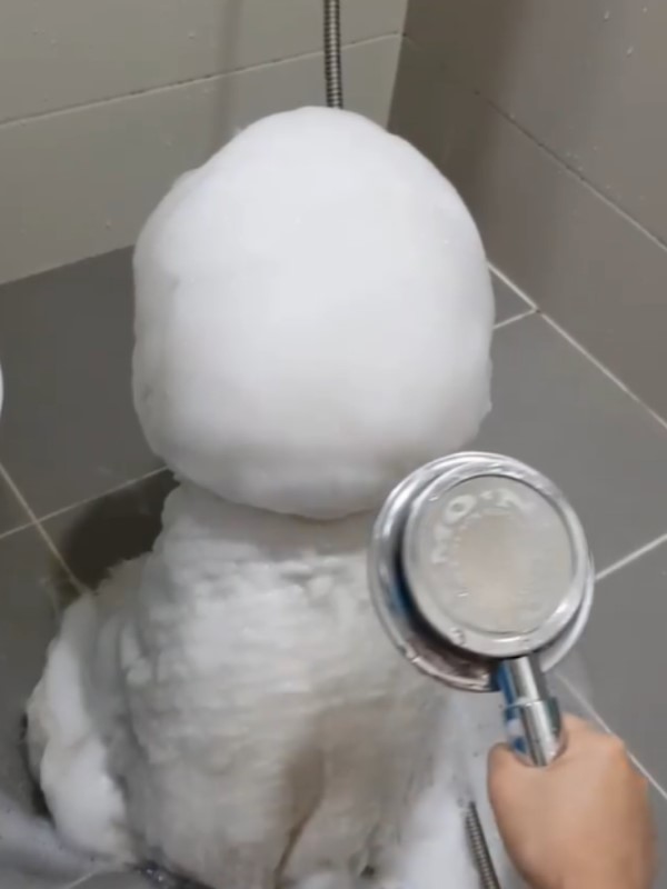 雪寶是你嗎？浴室出現「白圓小雪人」沖水也不融化　轉過來網友直呼：超療癒！