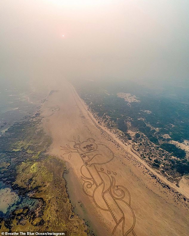 求關注澳洲山火！藝術家在沙灘畫出「巨大無尾熊」　近10億動物已消失