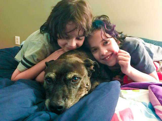 媽媽疑惑9歲女兒「為何堅持要領養老狗」　她的理由讓家人秒點頭同意
