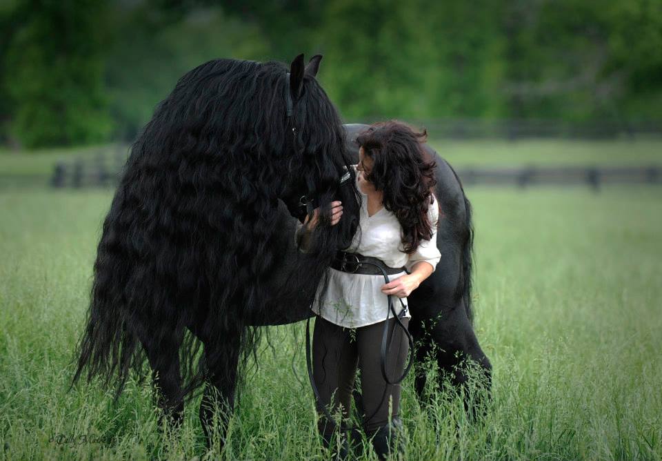 真實存在的「馬界第一帥」黑到發亮　俊逸長髮收編超多女粉絲：比還我美❤