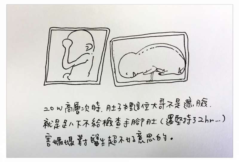 中肯哭！　31張「懷孕的心路歷程」插畫　媽媽們：老公是不是豬隊友真的有差