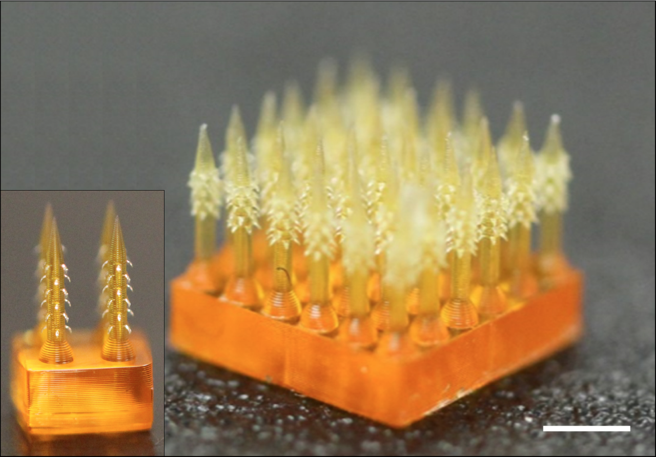 針都不用打！美科學家3D列印製造「疫苗貼片」　免疫反應大增10倍