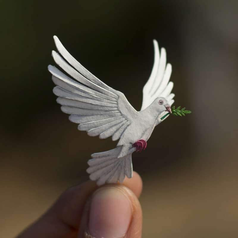 30個「讓大家都誤以為是真鳥」的立體紙片鳥　羽毛也能100％神還原