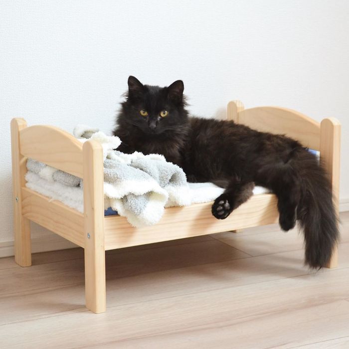 貓界逸品！IKEA「幼兒玩具小床」成喵皇最愛　貓奴紛紛入手：還能變上下鋪～