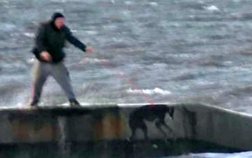 他目擊「超殘忍飼主一隻接一隻把狗狗拋進寒冷的大海」，把受驚的狗狗拉回來後…又再拋一次！