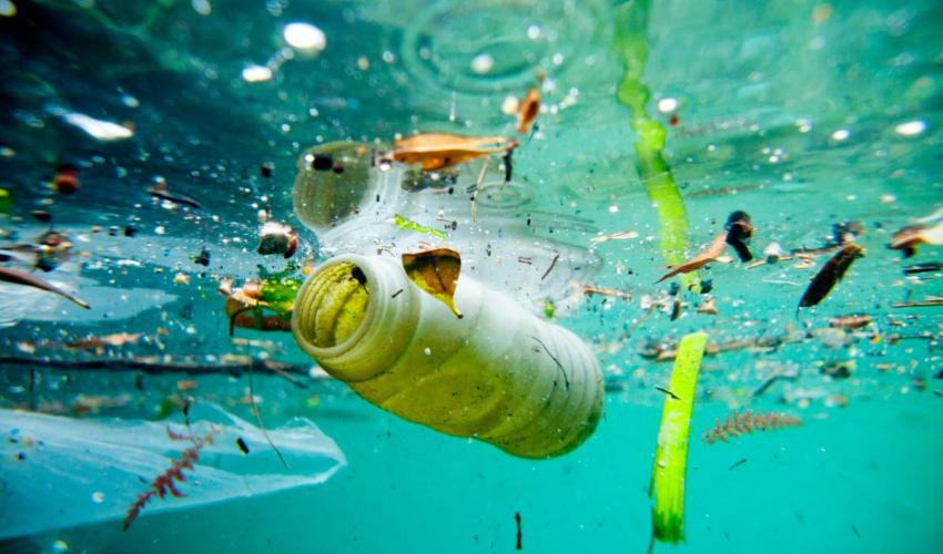 常吃海鮮者嚇到皮皮挫！研究發現人類1年吞上萬顆塑膠微粒，海洋生物吃的塑膠也進了你的肚子裡