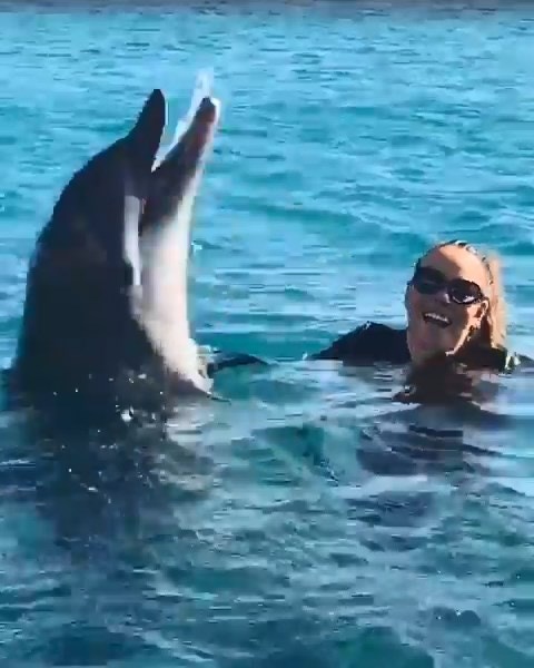 瑪麗亞凱莉「海豚音」獲得認證！　一飆高音真海豚也嚇到彈起來