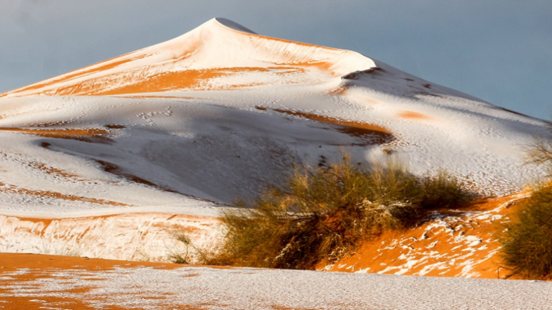 雪白色的撒哈拉沙漠！　40年來第三次有積雪覆蓋黃沙　在地人一醒來都超詫異