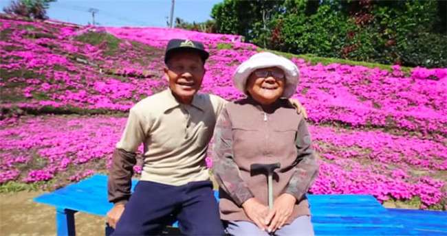 為了讓失明妻子露出笑容…　日本老爺爺用30年種出花海　她也終於幸福地笑了