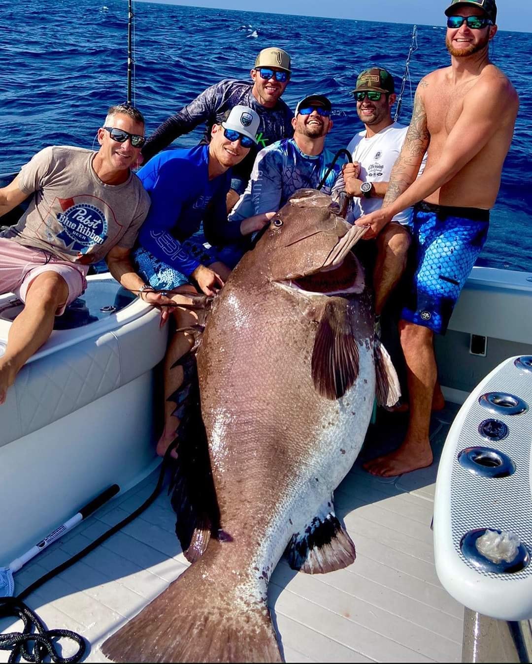 只用魚線和釣鉤！狂男捕獲「158公斤大石斑」　專家驚：牠至少50歲
