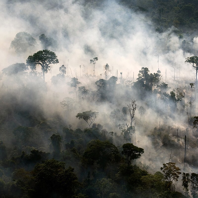 李奧納多看不下去了　霸氣捐出1.6億「緊急援助亞馬遜雨林」