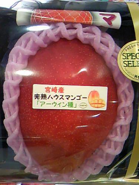 2顆就賣出14萬天價！　日本頂級芒果「太陽蛋」創下驚人紀錄