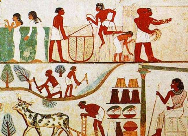 拿人腦治療眼疾　9個證明「古埃及人根本是外星人」的神技術