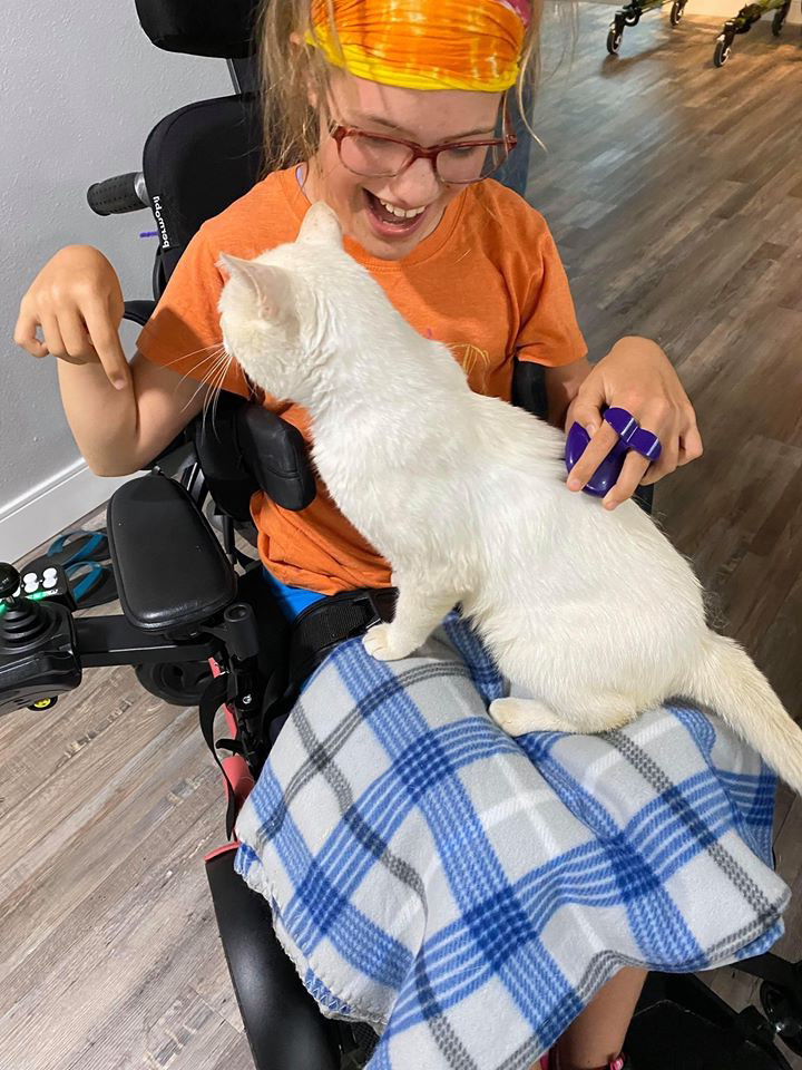 電動輪椅女孩嚇跑所有貓！　唯有「流浪白貓」見面秒撲上：就選我吧♡