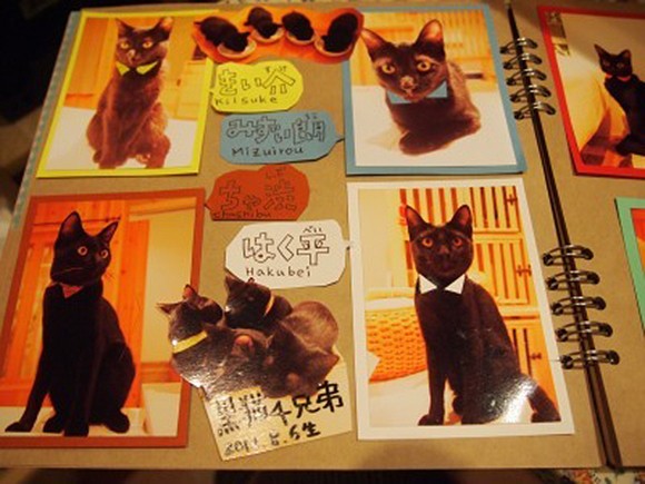 日本咖啡廳「黑貓限定」只養黑色喵星人　網愣：飼主如何分辨誰是誰啊？