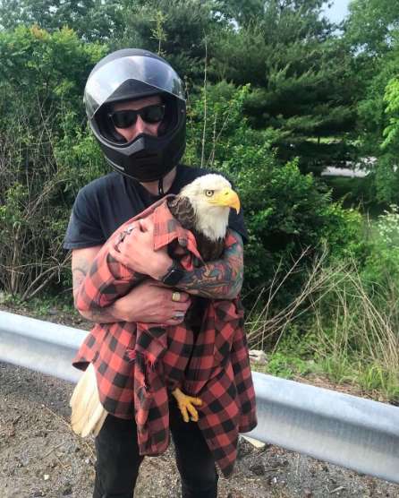男子在高速公路「勇救美國國鳥」　脫掉穿8年的衣服抱緊處理：不用害怕了