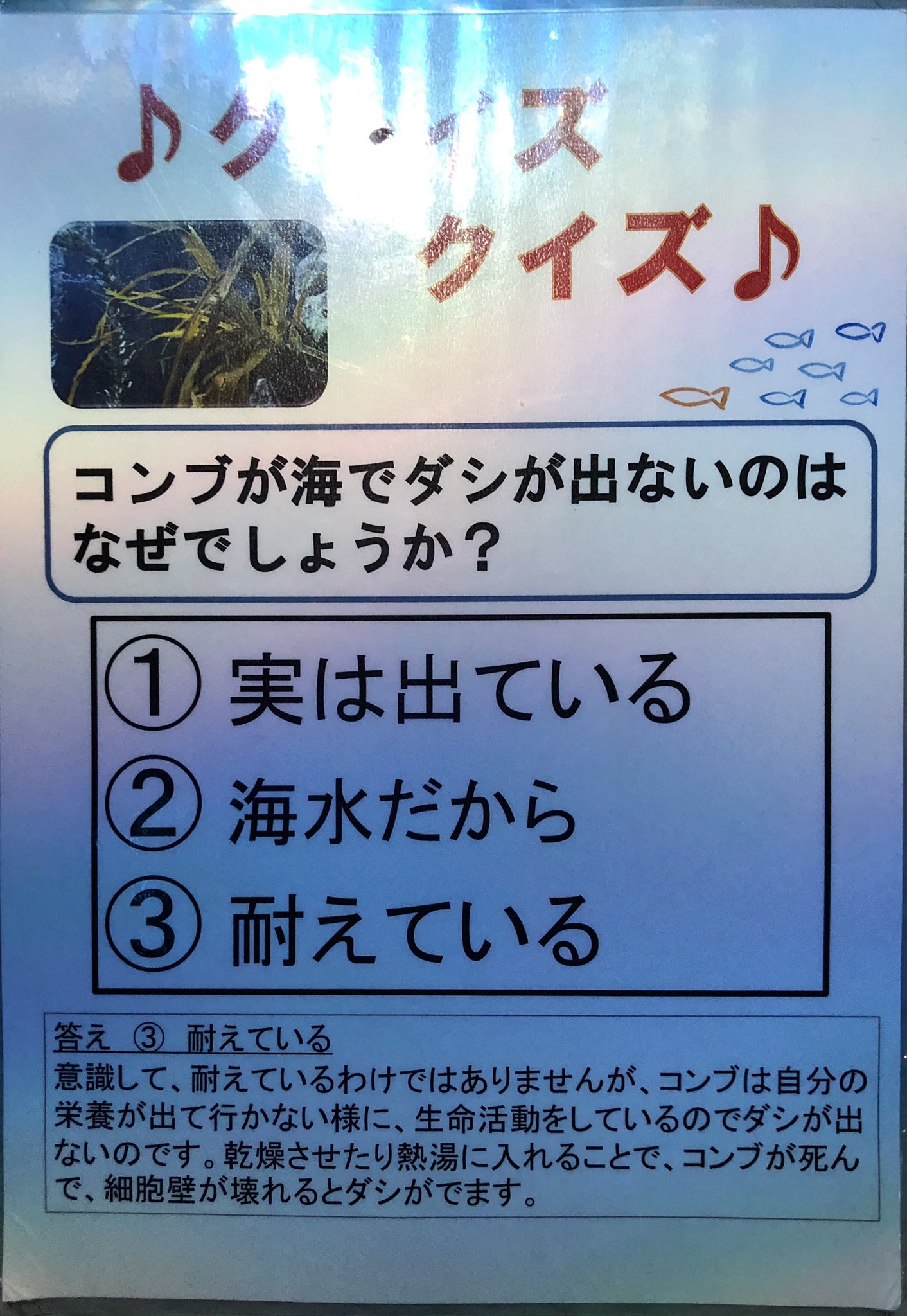 昆布在海裡為什麼不會泡出高湯？ 　日本「水族館神回」網笑噴：昆生好難