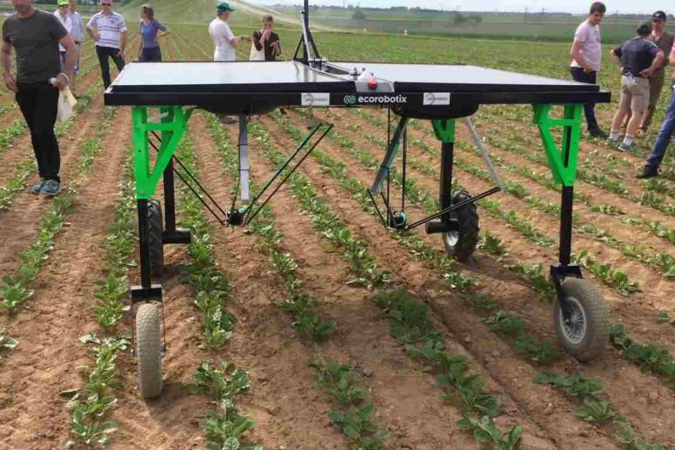 進化了！「AI 除草機器人」幫節省90%農藥使用量　可工作12小時不休息