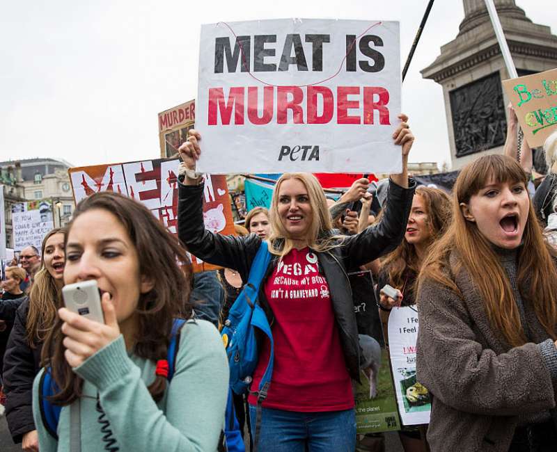 前素食主義者提證據「吃素害死更多動物」　資深素食者反擊：根本胡說八道