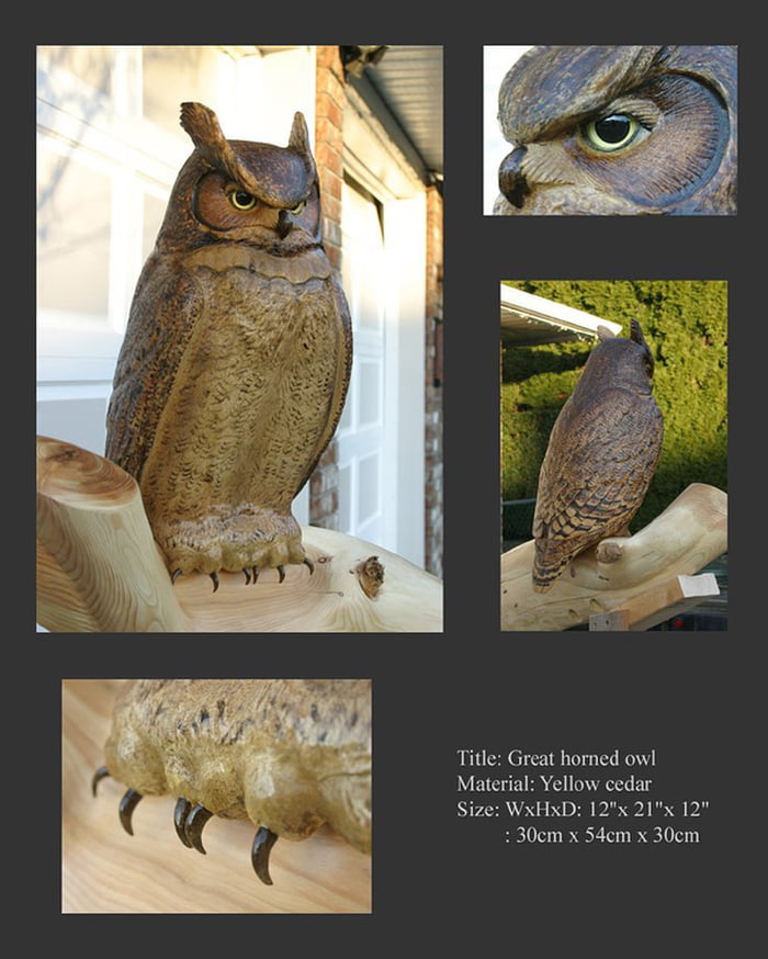 從木頭而生！日木雕師「讓木頭活成動物」　雕刻老鷹眼神超靈動：彷彿會轉～