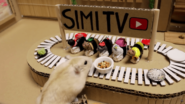 鼠寶也有迴轉壽司店! 飼主貼心設計…牠爽拿一盤又一盤:享受包場了❤️