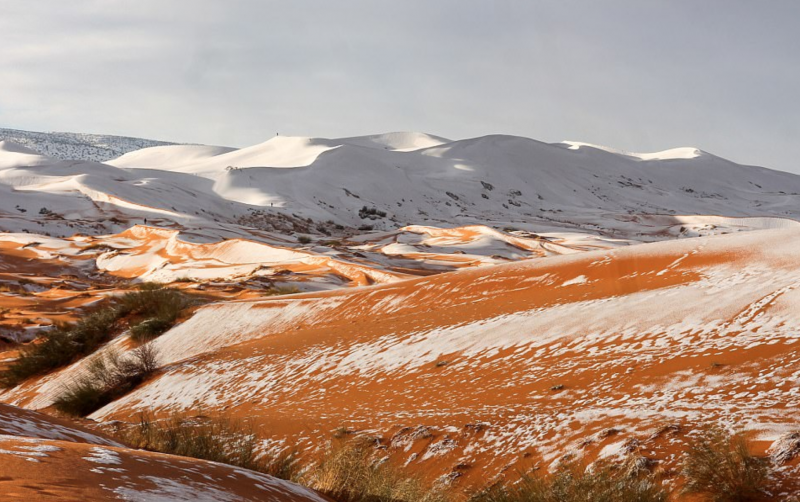 雪白色的撒哈拉沙漠！　40年來第三次有積雪覆蓋黃沙　在地人一醒來都超詫異