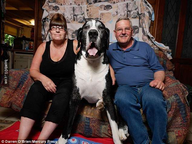 這名妻子騙丈夫說領養了一隻「小狗」，幾個月後他終於知道自己被騙了…而且騙很大！