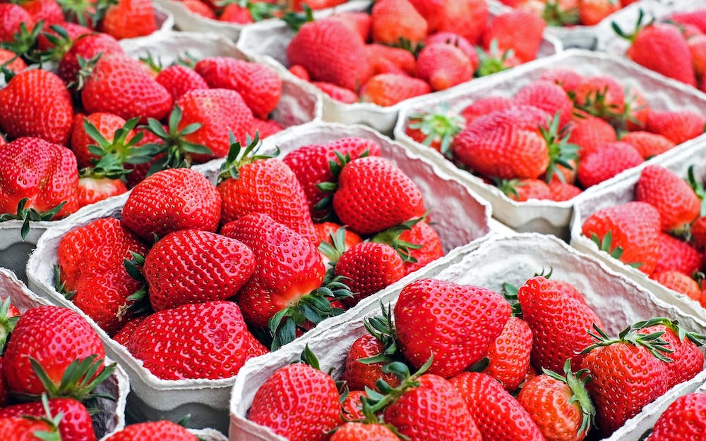 草莓吃一波！降價6成「零售價100元/斤」　農改場：三期花開產量增