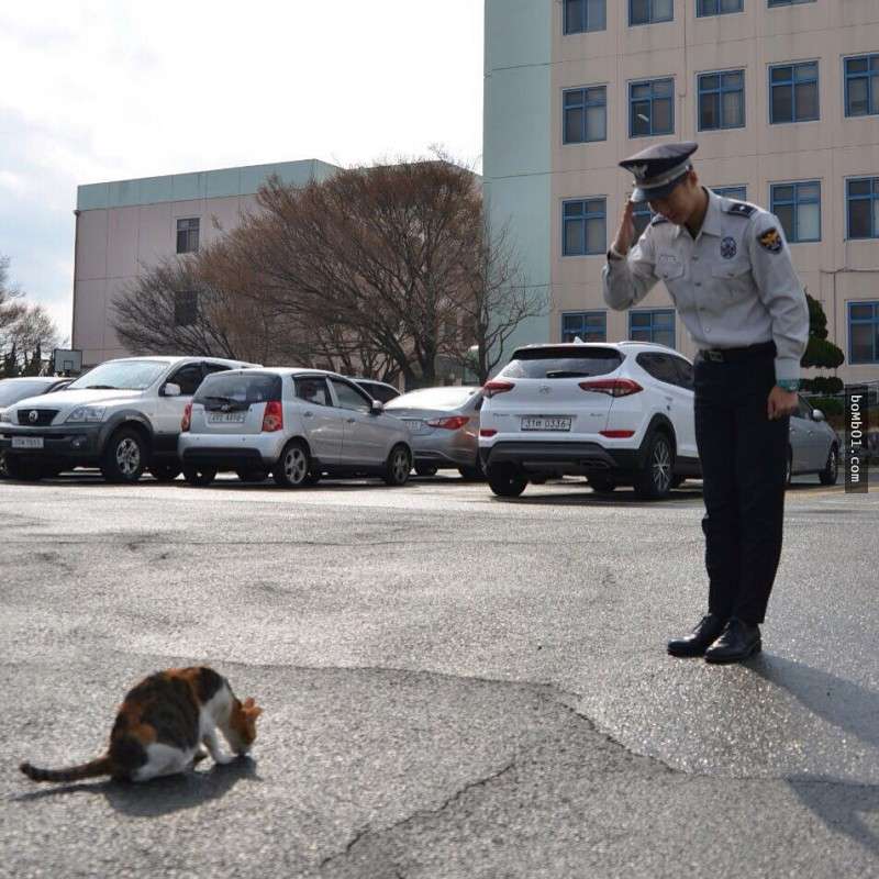 警察先生第一天遇到這隻貓時沒料到會發生這種事，現在他們和路人每天都被療癒不行！