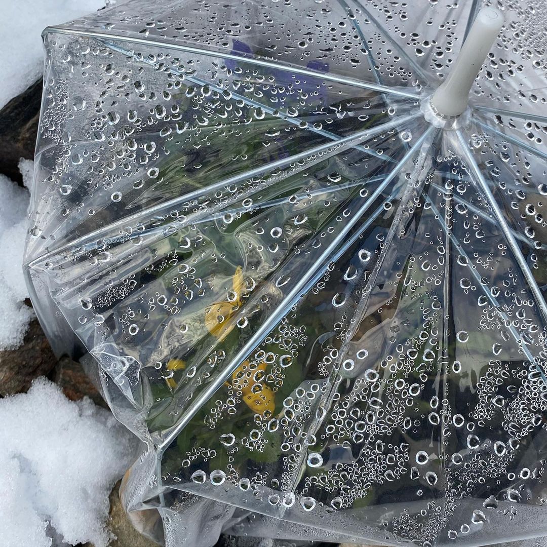 超商「透明雨傘」竟變園藝神器　園藝高手分享：自建小溫室