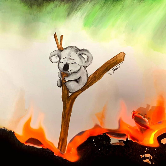 澳洲大火燒不停…各國插畫家「用色彩條線」集氣　畫圖傳達心情與希望