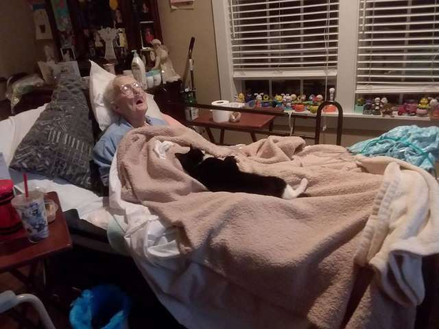 從小被奶奶養大　貓咪不願離開重病奶奶　溫柔躺床：換我來照顧妳～