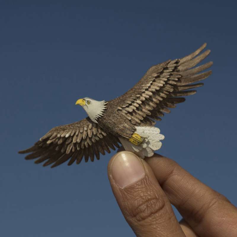 30個「讓大家都誤以為是真鳥」的立體紙片鳥　羽毛也能100％神還原