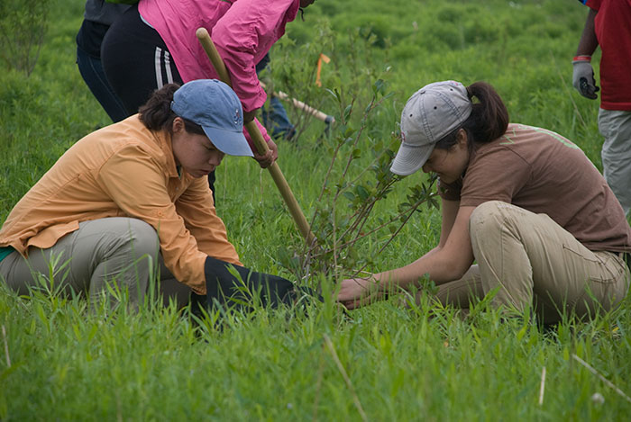 畢業前先種10棵樹！菲律賓修法敲定　一世代將多出「5億棵的森林」