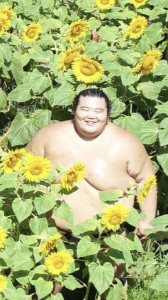 相撲選手在向日葵花田萌拍「網美系大合照」　網笑：可愛的夏日精靈