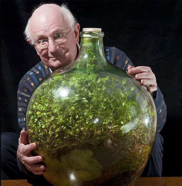 他在密封玻璃瓶中種上植物　58年後成「全球最小生態系」 超神奇