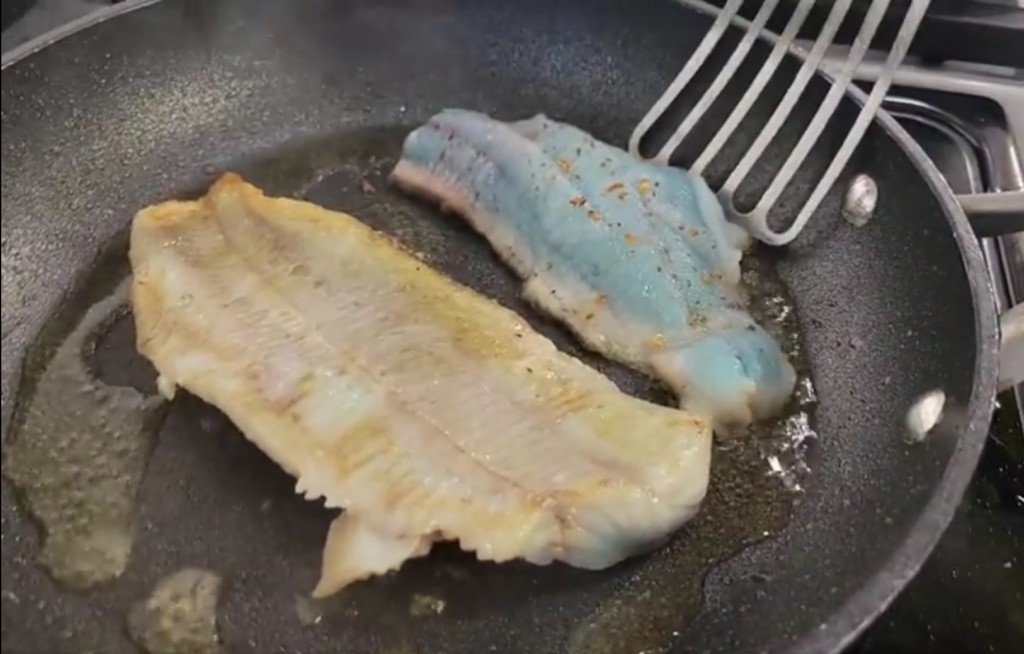 漁夫捕到夢幻魚！藍色魚肉煎熟後竟變色　專家曝原因