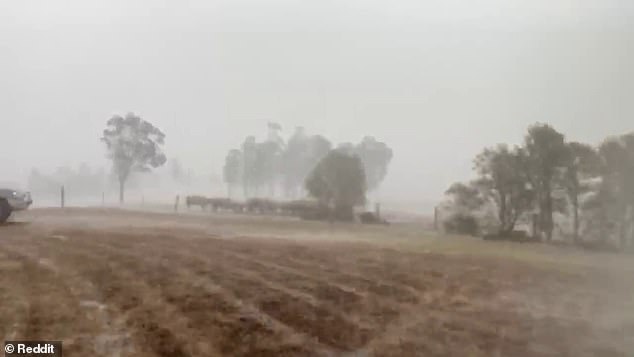 終於下雨了！澳洲農民「史上最爽淋雨」　招手歡呼：一直下吧！