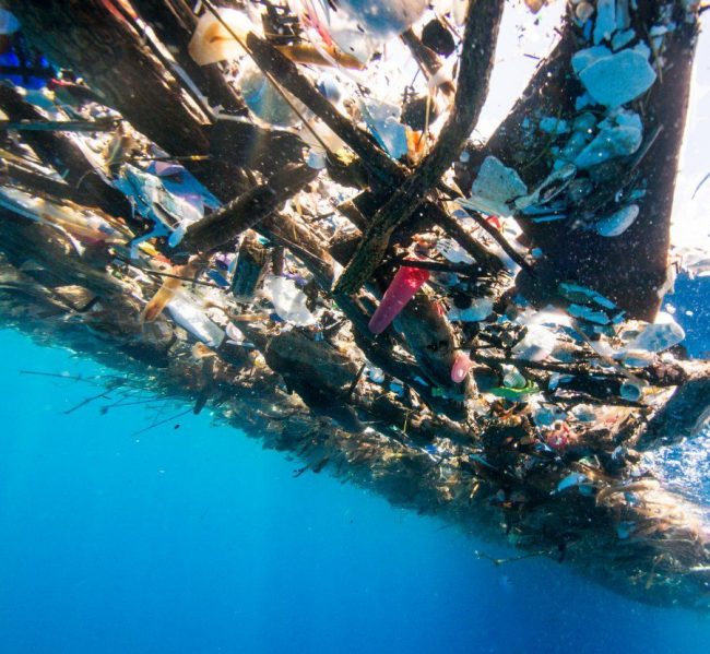 前往「潛水勝地」卻嚇到　攝影師入海實錄：周圍全是垃圾