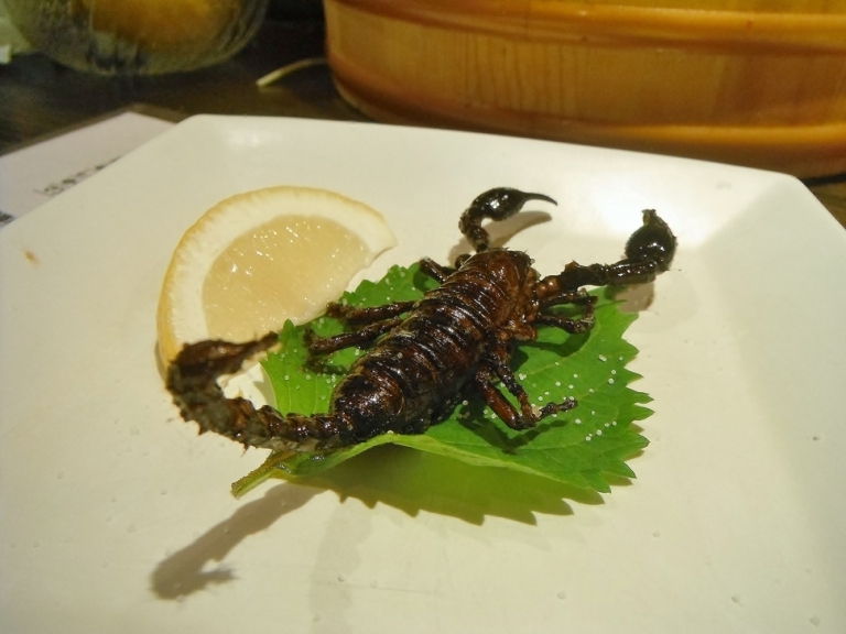 這間日本人氣店家提供「鱷魚腳、炸蟑螂」等獵奇料理，看到他們連「六角恐龍」都能入菜後我已經腿軟了…