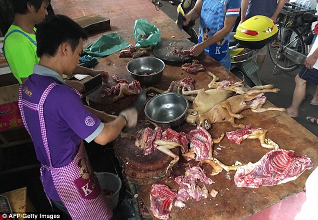 玉林狗肉節攤販不顧違法「如期營業販賣狗肉」，一具具狗屍體讓大家都不忍直視！（圖片令人不安）