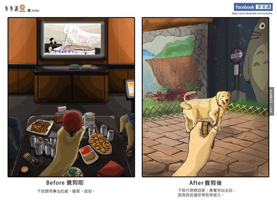 台灣插畫家把家裡養寵物的前後改變畫出來，每一張圖都會讓你深感共鳴！