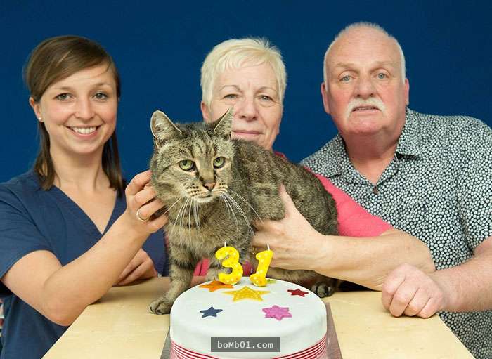 「141歲」流浪貓自從在26年前開始統治這家人，牠的龍體就被貓奴照顧到就像獲得永生！