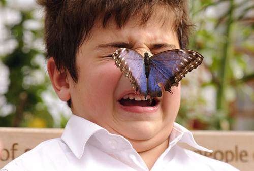 6大原因會讓人罹患「蝴蝶恐懼症」　患者的心裡都在想這些
