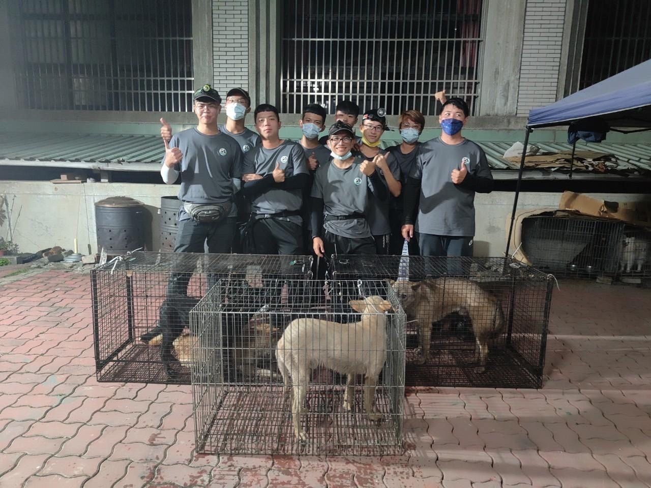 國寶級「帝雉」遭伏擊！　動保員耗時2天全面捕捉阿里山浪犬