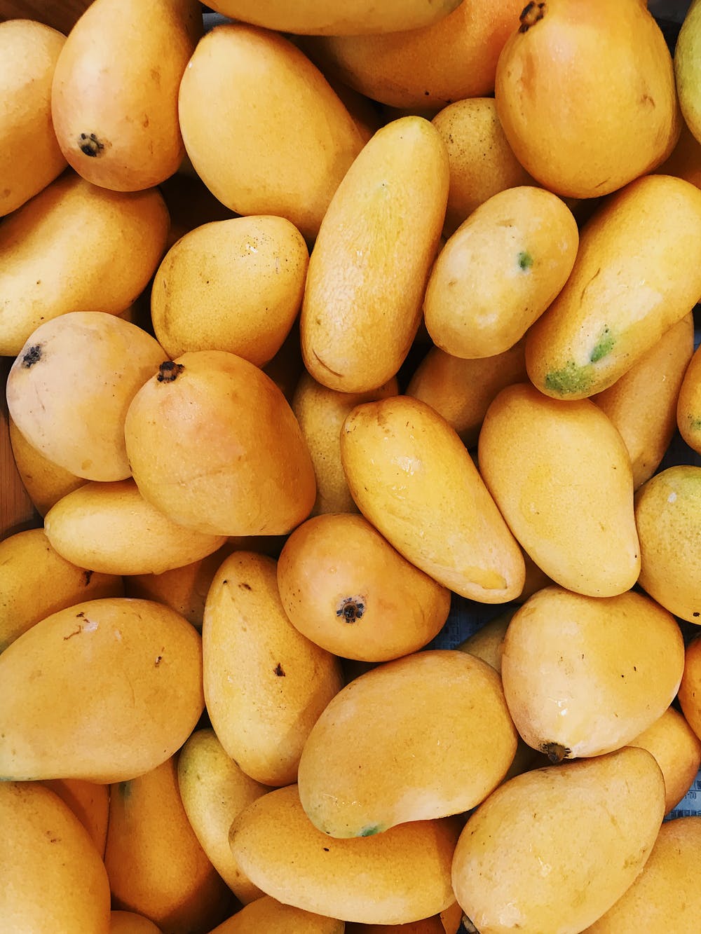 紐西蘭突發禁令！　禁止「台灣水果進口」理由曝光