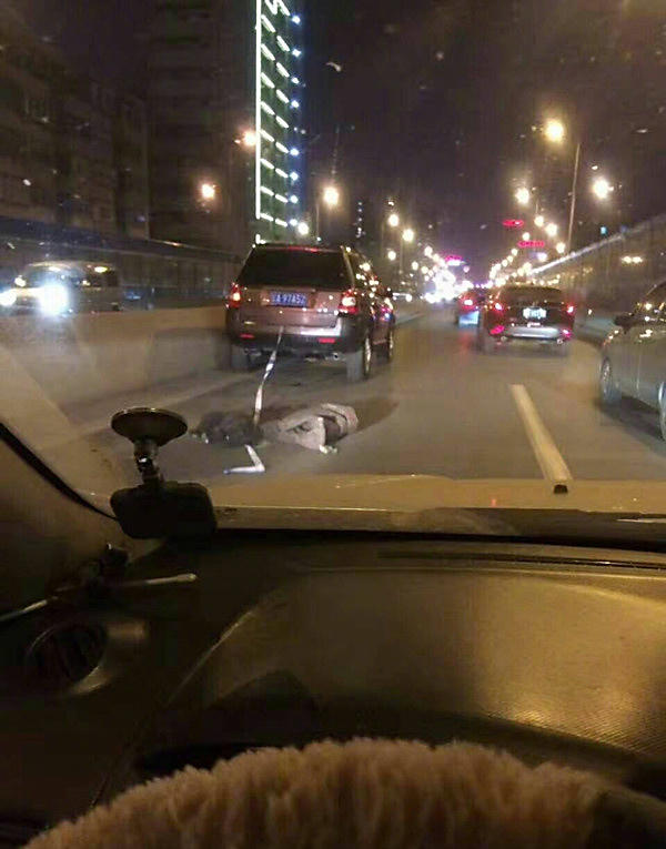 網友憑2張照片就公審「男子開車拖死狗」，怎知真相大逆轉才驚覺把暖男害慘了！