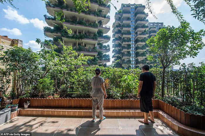 設計滿滿綠植「垂直雨林社區」卻變鬼城　住戶曝魔幻原因：吸引太多蚊子
