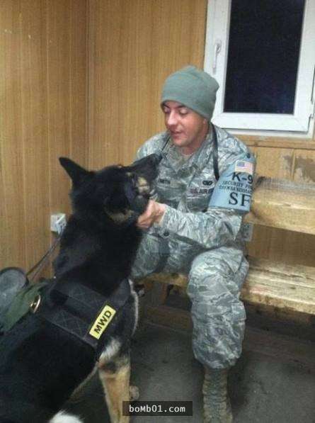 這名軍人在軍犬臨終前的每一分一秒都陪在身邊，他「一句話」就讓現場所有人都泣不成聲…